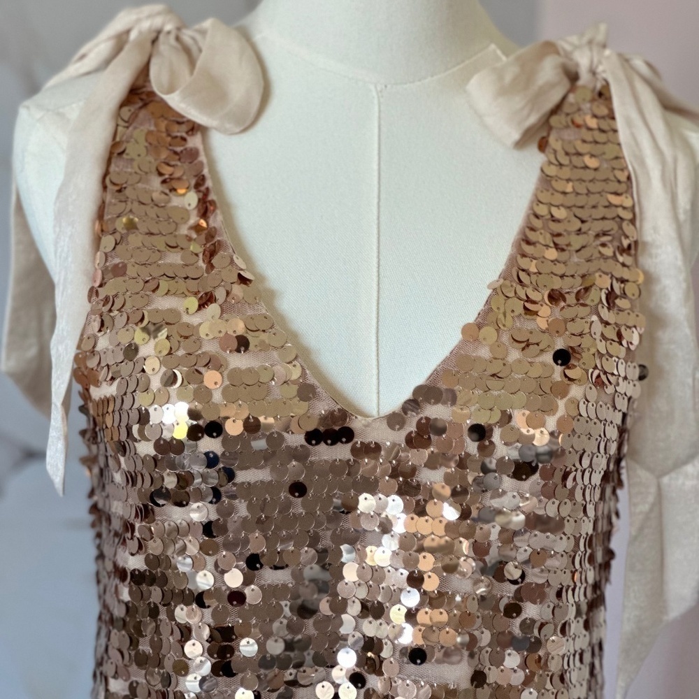 Red Dress Boutique Champagne Sequin Mini Women's Dress Size XS - Picture 13 of 15